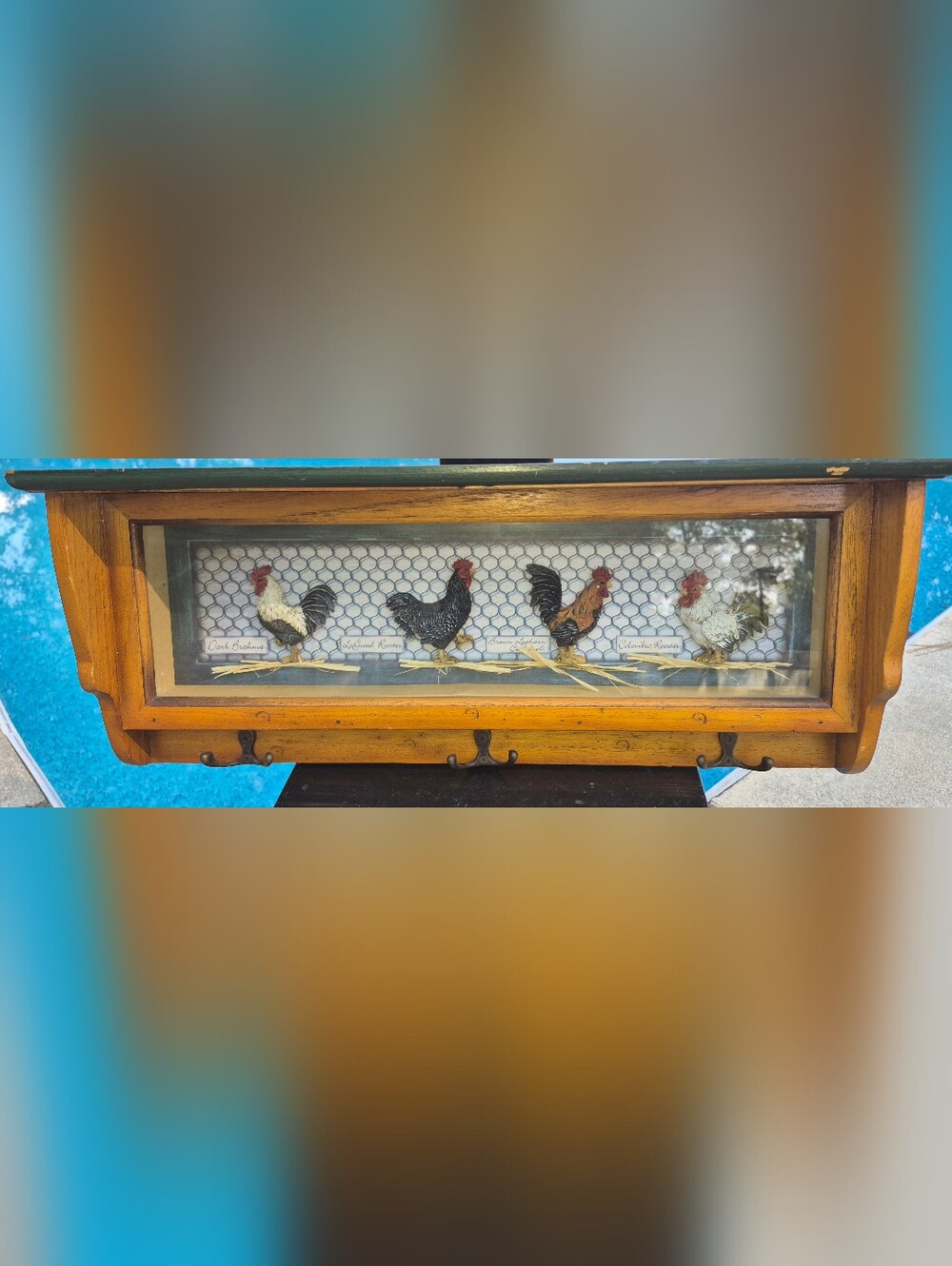 Vintage wooden shadow box wall hanging and coat/key rack w/ chicken wire, 3d